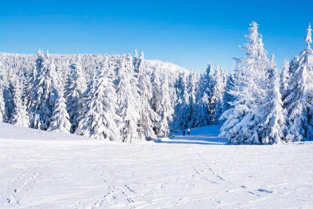 Snežna idila Srbije za uživanje